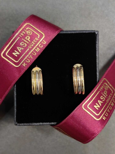 14 AYAR 3 RENK ÖZEL TASARIM HALKA ALTIN KÜPE - Görsel 2