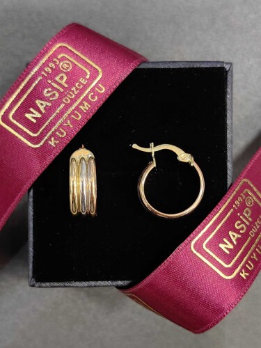 14 AYAR 3 RENK ÖZEL TASARIM HALKA ALTIN KÜPE - Görsel 3